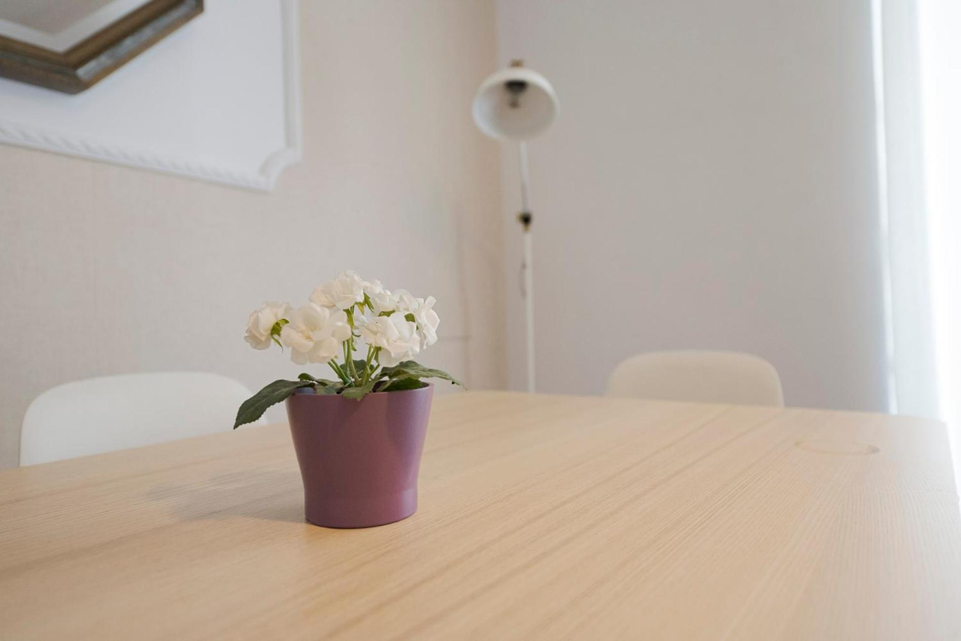 Apartamento Victoria En El Centro De Сан Себастиан Екстериор снимка